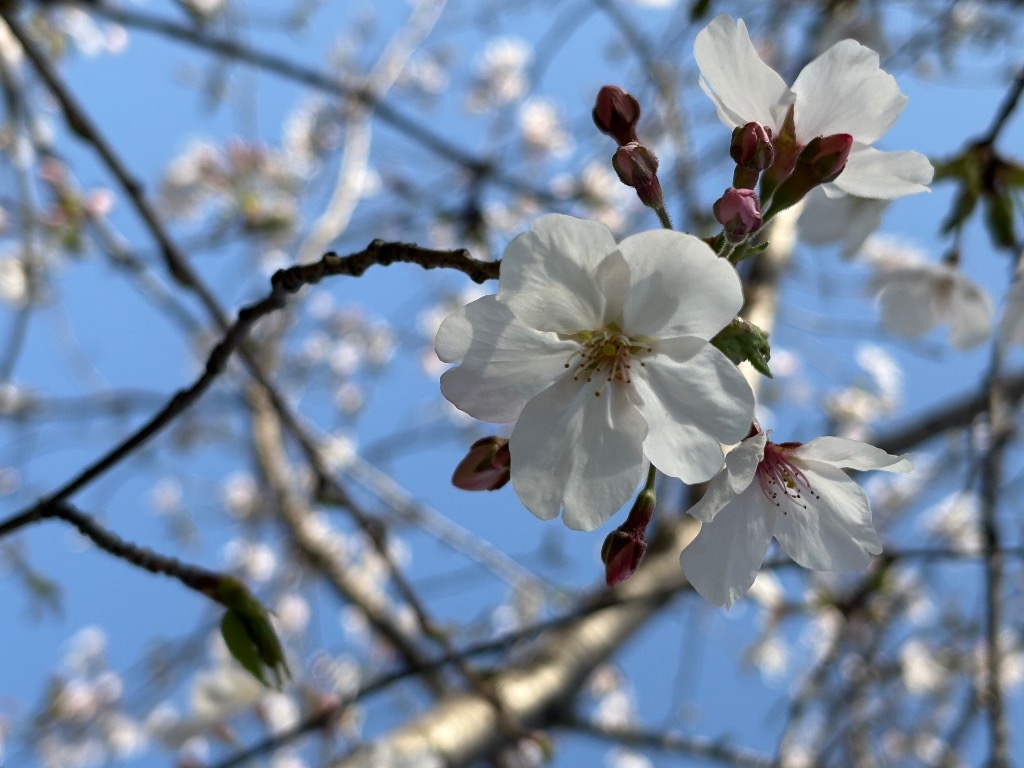 幸せ体質になろう！